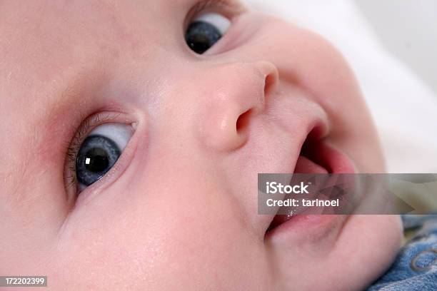 Foto de Rosto De Bebê e mais fotos de stock de 2-5 meses - 2-5 meses, Azul, Bebê