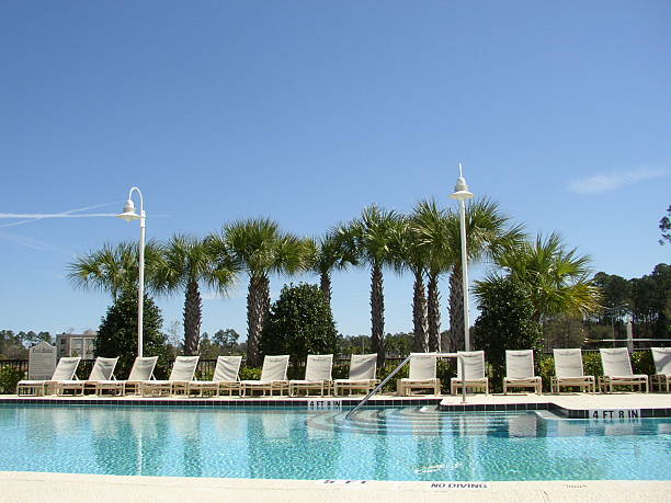 ao lado da piscina - beach tropical climate palm tree deck chair imagens e fotografias de stock