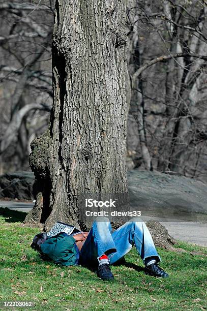 Prüfen Sie Jetzt Und Später Stockfoto und mehr Bilder von Außenaufnahme von Gebäuden - Außenaufnahme von Gebäuden, Baum, Buch