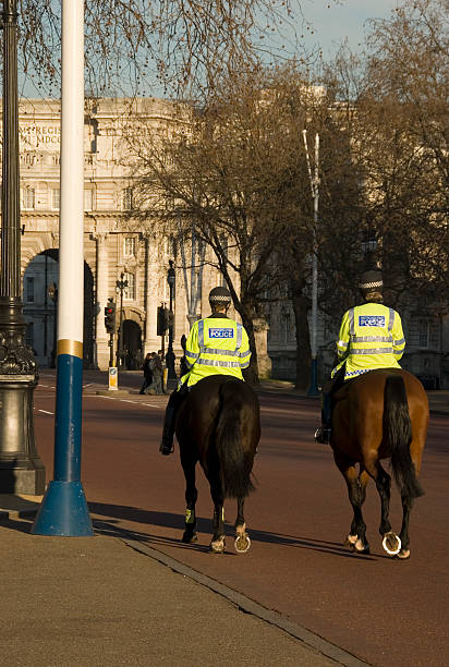 On Patrol stock photo