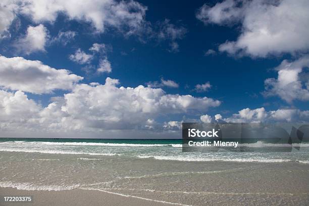 美しい夏のビーチ - Horizonのストックフォトや画像を多数ご用意 - Horizon, コンセプト, フォークランド諸島
