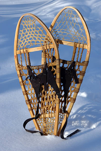 Snowshoes still-life (vertical) stock photo