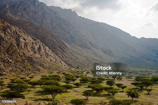 Oasis Wadi Mileiha Montañas Emiratos Árabes Unidos Foto de stock y más banco de imágenes de Desierto