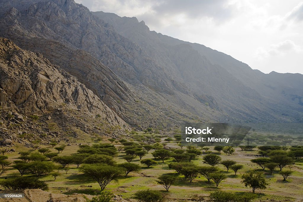L'oasi di Wadi Mileiha montagne Emirati Arabi Uniti - Foto stock royalty-free di Deserto