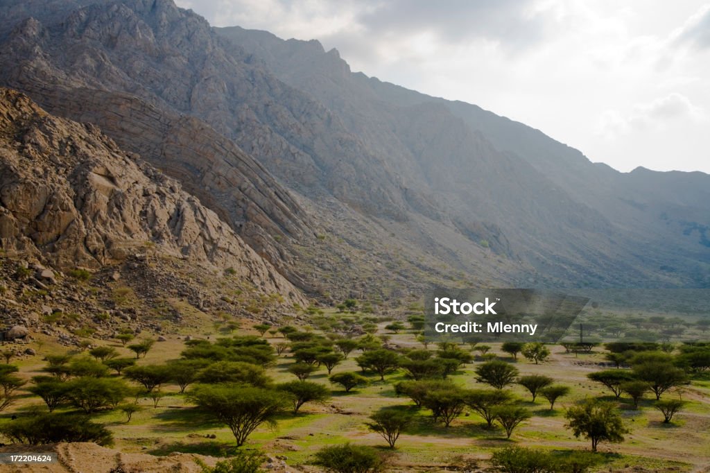 Oásis de Wadi Mileiha montanhas, Emirados Árabes Unidos - Foto de stock de Deserto royalty-free