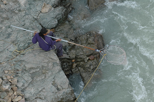 Native person fishing for salmon in the river with traditional Dip net. British Columbia.