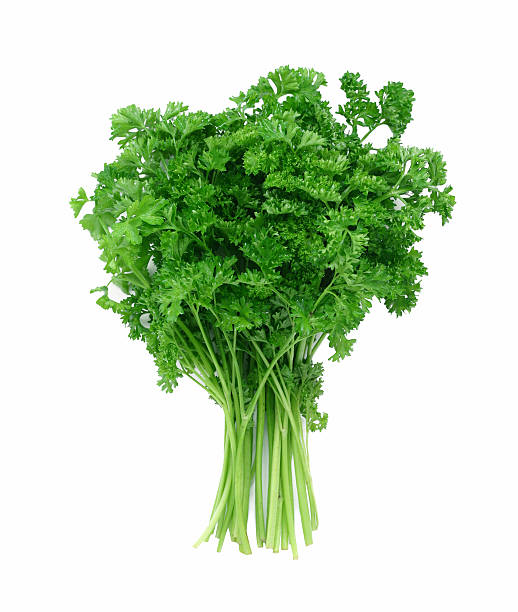 A close-up of green curly parsley
