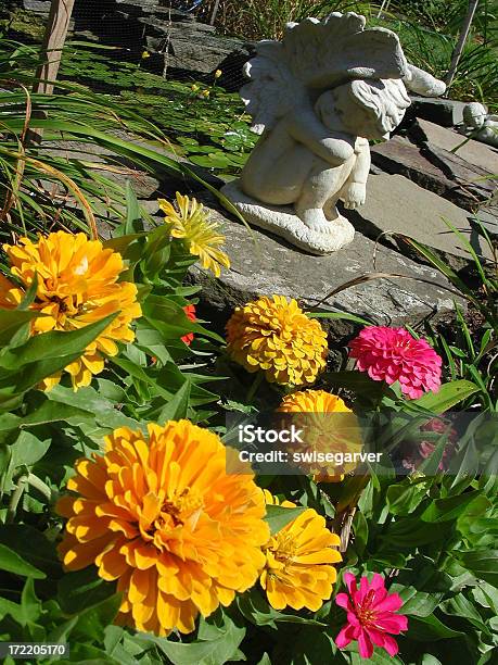 Cherub Blumen Stockfoto und mehr Bilder von Blume - Blume, Blumenbeet, Blüte