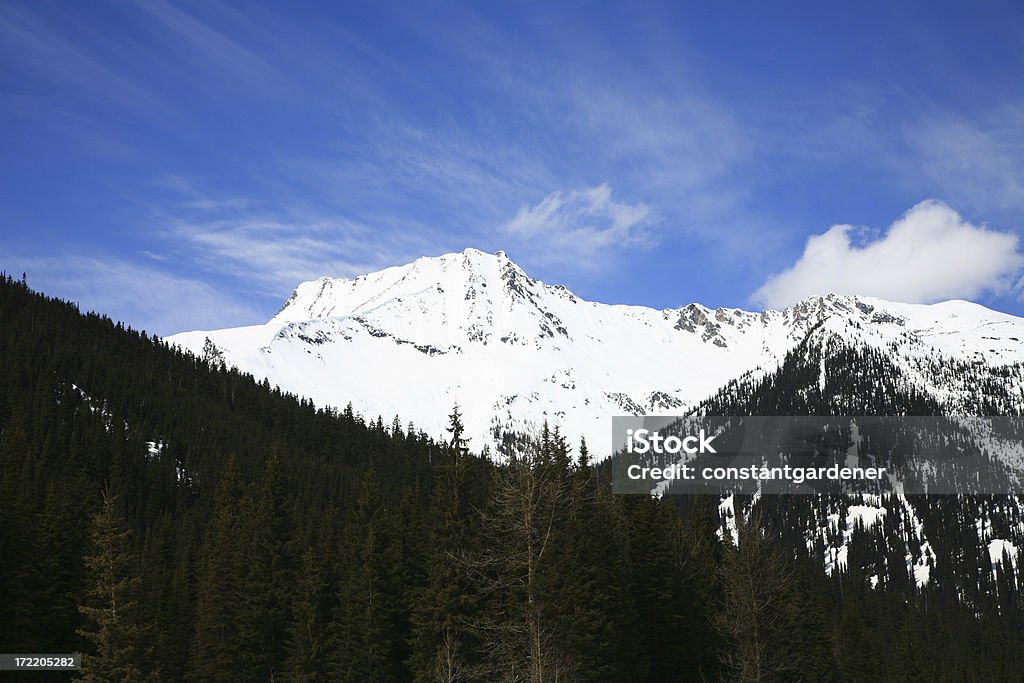 Glaciar las montañas. Paso Roger Columbia Británica - Foto de stock de Golden - Columbia Británica libre de derechos