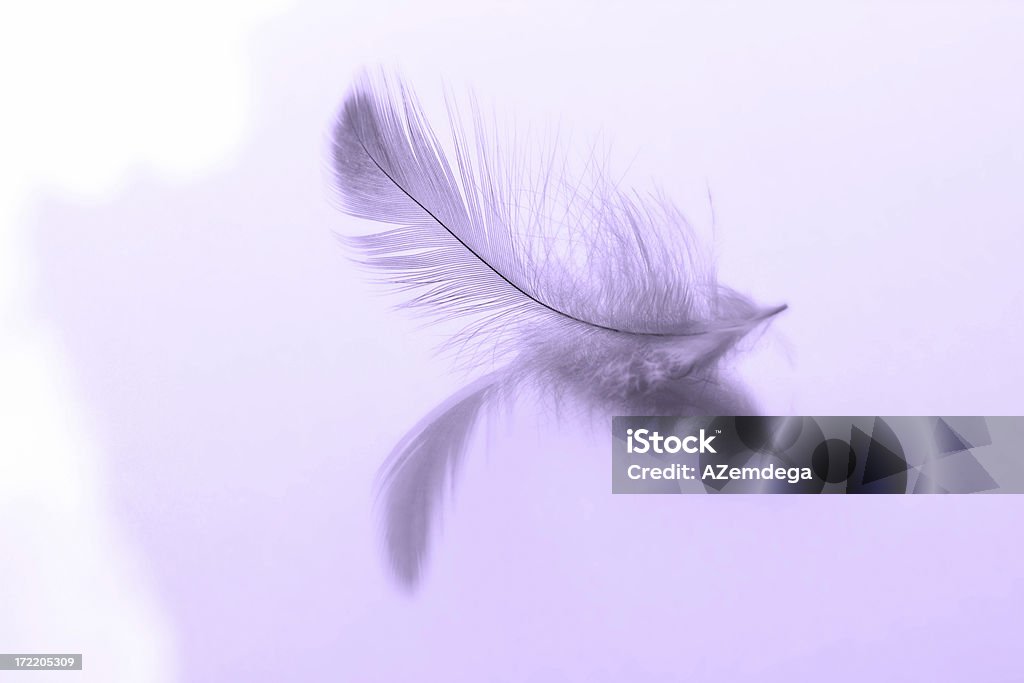 Rêve en plumes - Photo de Concepts libre de droits