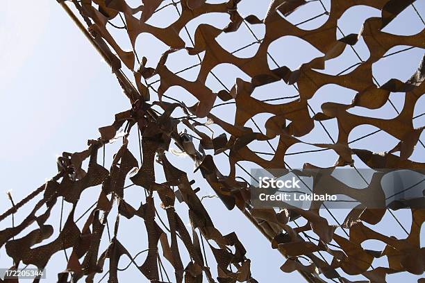 Camuflagem De Deserto - Fotografias de stock e mais imagens de Ao Ar Livre - Ao Ar Livre, Beleza, Calor