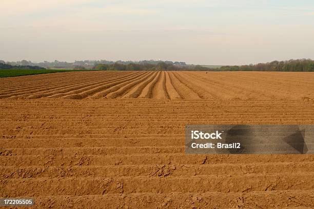 農産物 - Horizonのストックフォトや画像を多数ご用意 - Horizon, イノベーション, ブルドーザー
