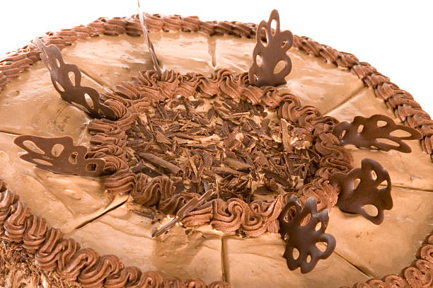 chocolate cake stock photo