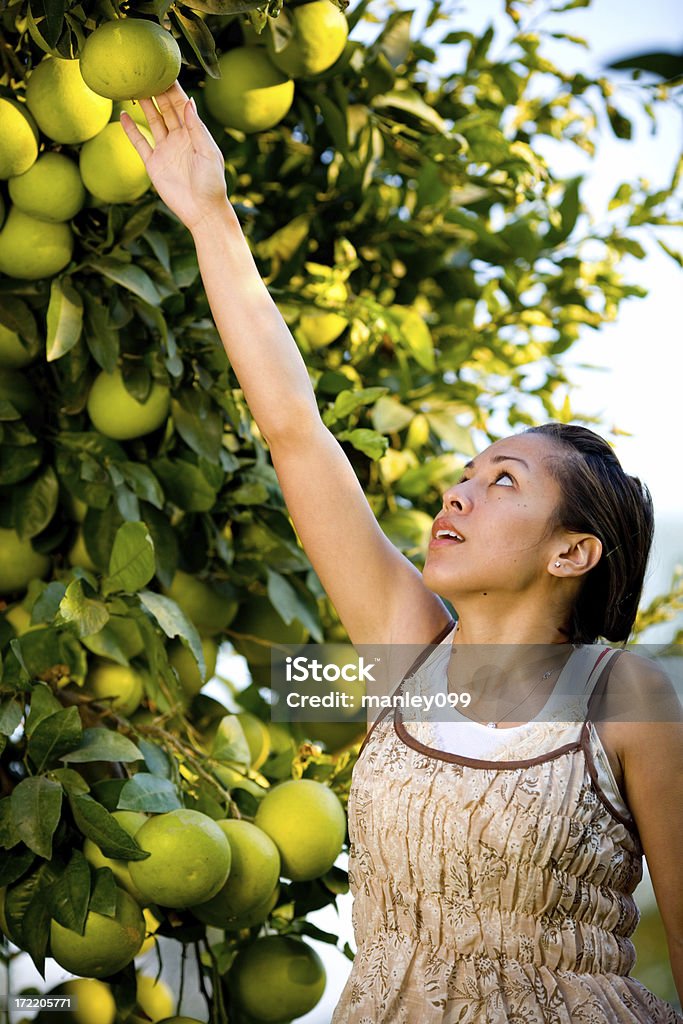 Chica joven y limón - Foto de stock de Adulto libre de derechos