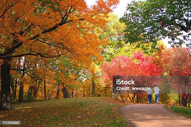 Photo libre de droit de Aller Pour Une Promenade Dans Le Parc banque d'images et plus d'images libres de droit de Indiana - Indiana, Parc public, Automne