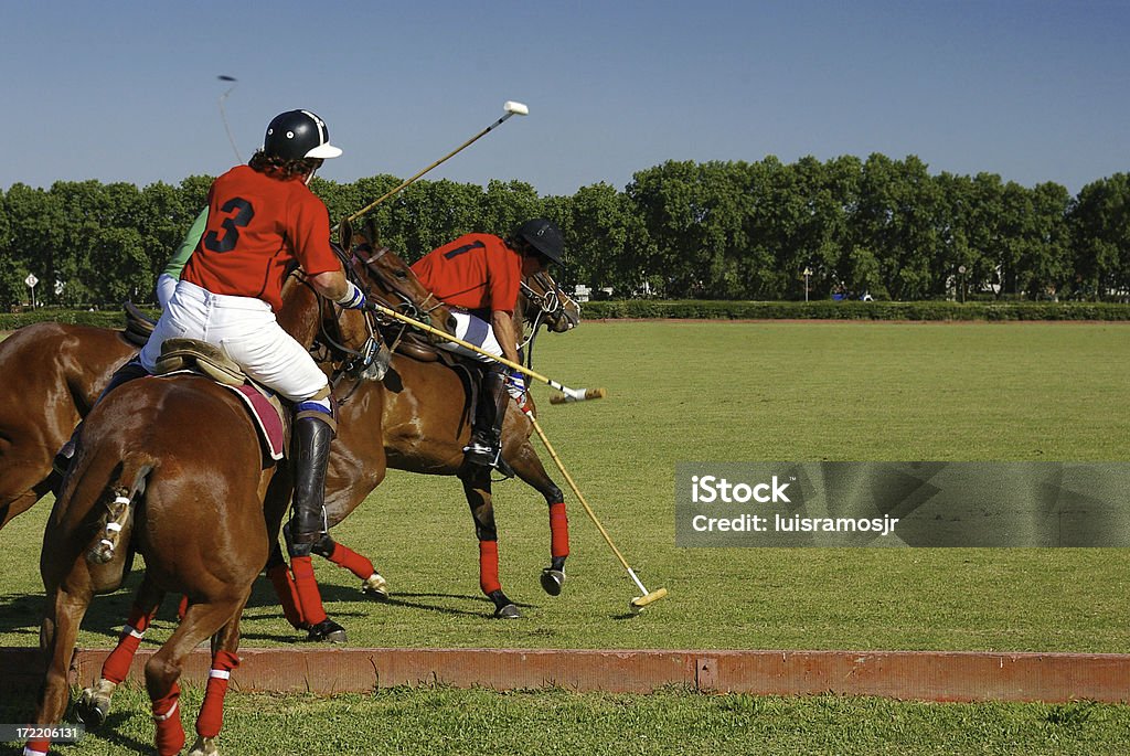 Polo de acção - Royalty-free Pólo Foto de stock