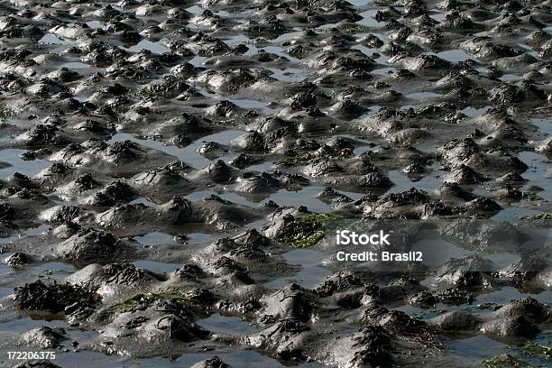 Foto de Fundo e mais fotos de stock de Amontoamento - Amontoamento, Lama, Molhado