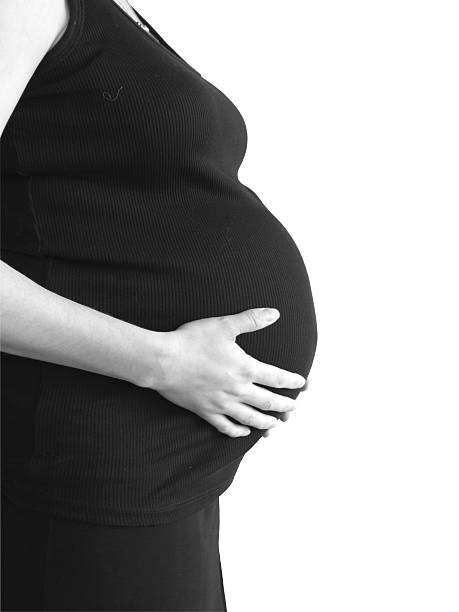 istock Black Pregnant belly isolated on white - high key 172206489