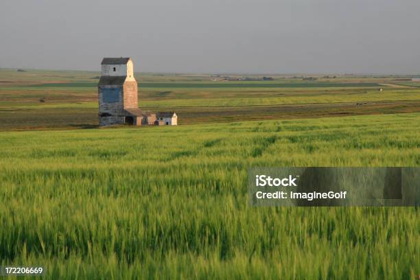 Foto de Prairie Relíquia e mais fotos de stock de Abandonado - Abandonado, Agricultura, Alberta