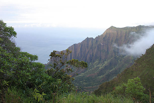 istock Kalalau valley and fog 172206798