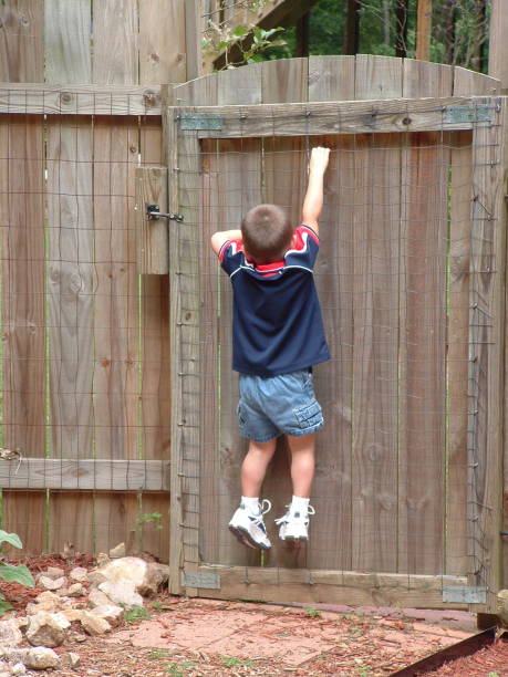 istock All Boy - Escape Artist 172207121