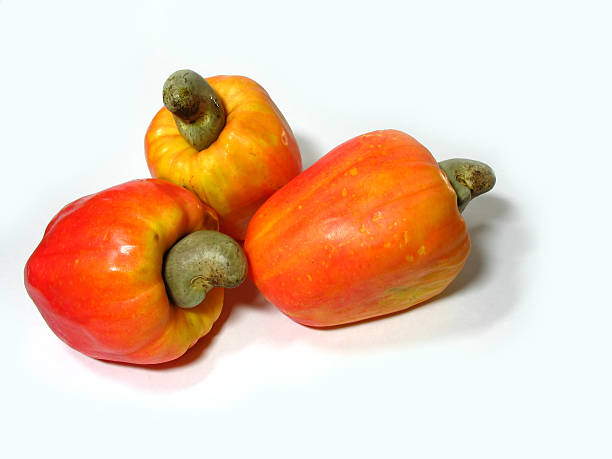 istock Cashew fruits 172207533