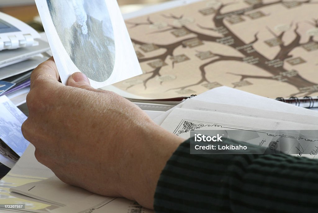 Vorfahren - Lizenzfrei Stammbaum Stock-Foto