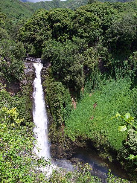istock Seven Sacred Pools  Waterfall, Maui 172207958