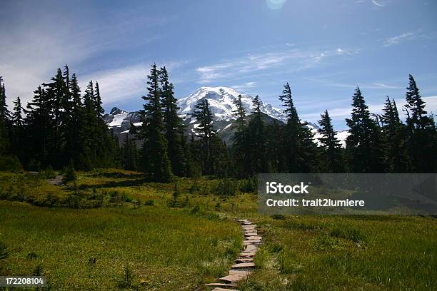 Photo libre de droit de Sentier Jusquau Sommet banque d'images et plus d'images libres de droit de Alpinisme - Alpinisme, Arbre, Bleu