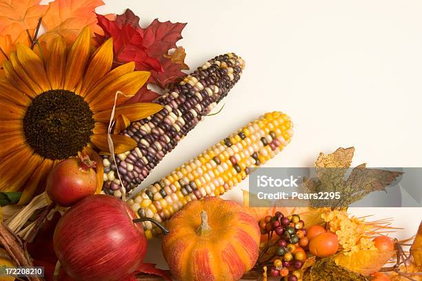 Autunno Accordo 3 - Fotografie stock e altre immagini di Arancione - Arancione, Autunno, Bacca