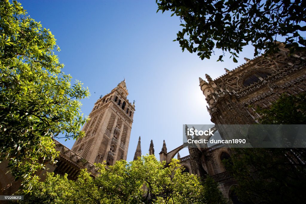 Giralda - Foto stock royalty-free di Albero