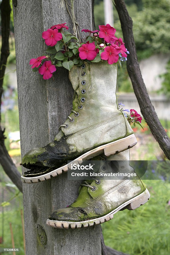 Botas de Flor - Royalty-free Alegrias-da-casa Foto de stock