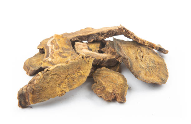 istock Rheum officinale(Traditional Chinese Medicine),Chinese rhubarb 1722085003
