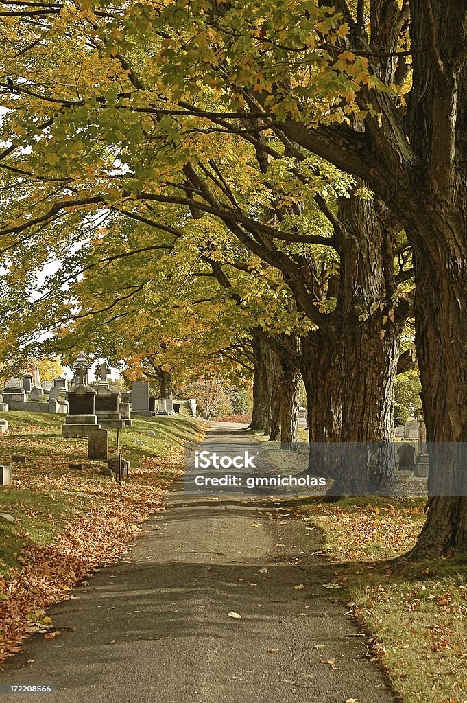 Cimitero road - Foto stock royalty-free di Lewiston - Maine