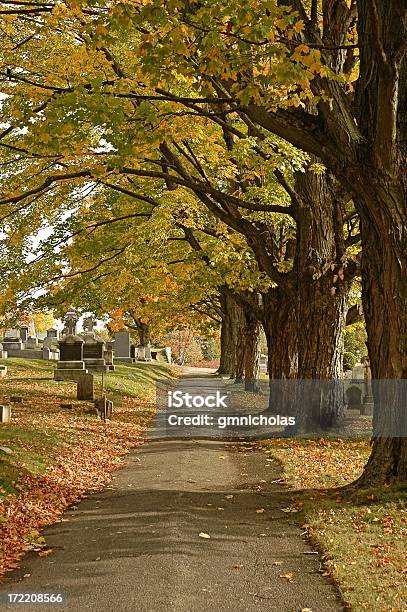 Cimitero Road - Fotografie stock e altre immagini di Lewiston - Maine - Lewiston - Maine, Acero, Albero