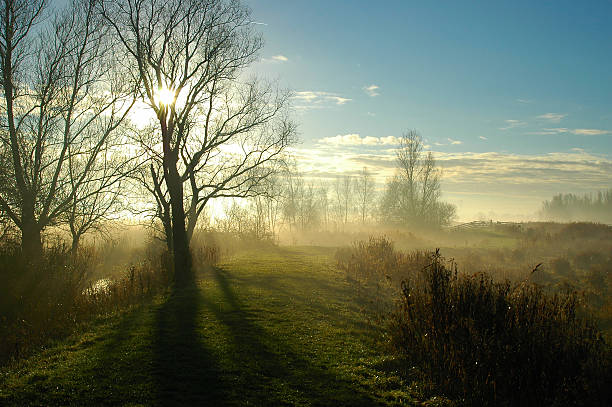 nature landscape in the early morning
