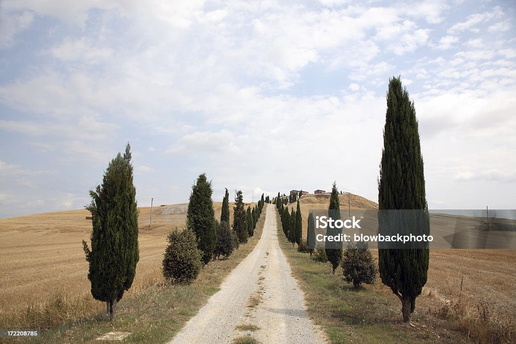 Tuscany: Road A road lined with cypress trees in Tuscany. Cloud - Sky Stock Photo