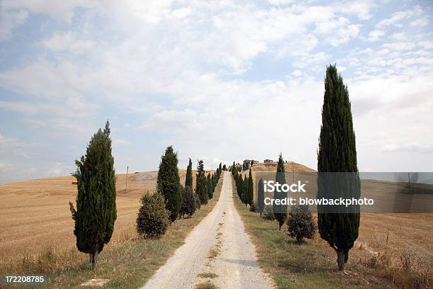 Tuscany Road Stock Photo - Download Image Now - Cloud - Sky, Country Road, Cypress Tree