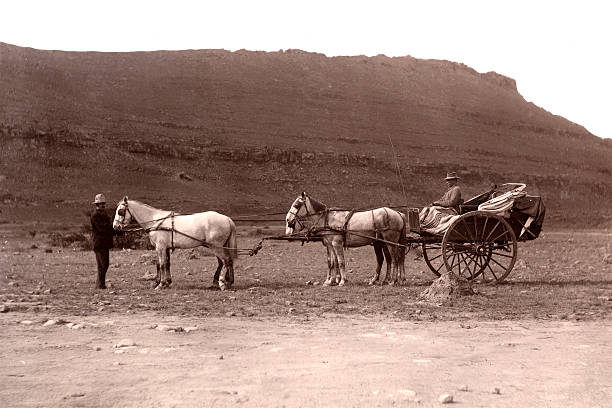 Vintage photograph of a horse and carriage, from the time of the Boer war in South Africa.