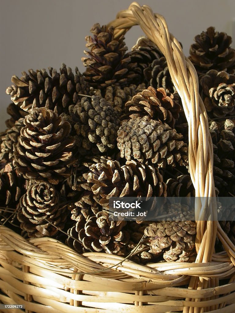 Innen-fir Hütchen - Lizenzfrei Dekoration Stock-Foto