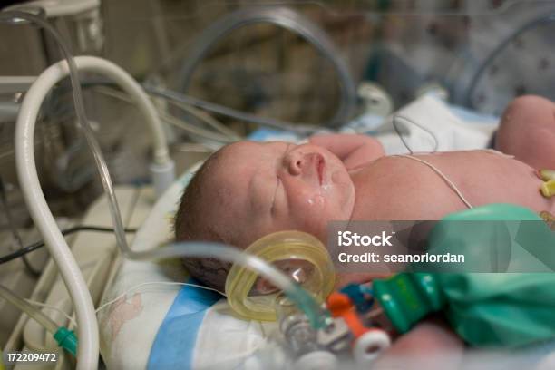 Incubatrice Neonato - Fotografie stock e altre immagini di Bebé - Bebé, Macchina per l'ossigeno, Unità di Terapia Intensiva Neonatale