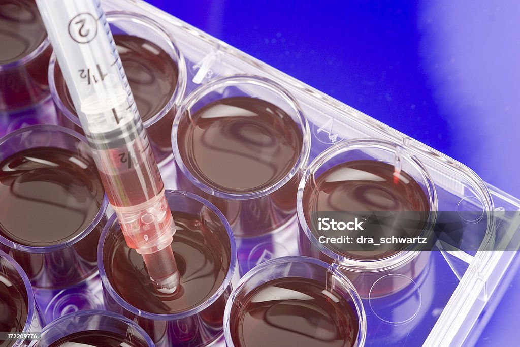 Células estaminais cultura - Foto de stock de Biologia royalty-free