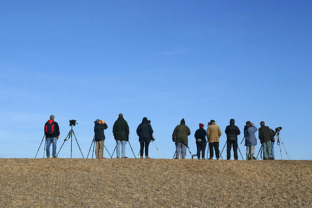 istock patient people looking, watching, waiting for a bird 172209930