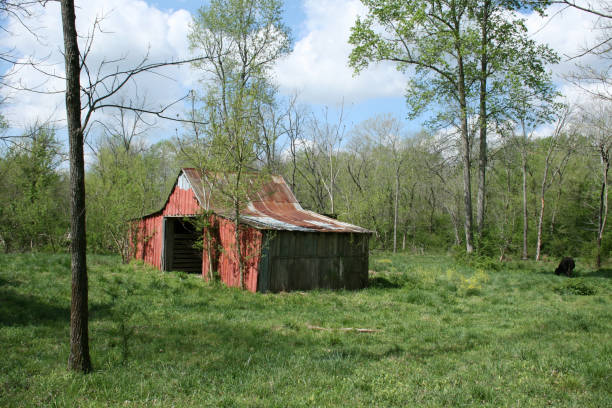 istock Old Barn in St. Joseph, TN 172210474