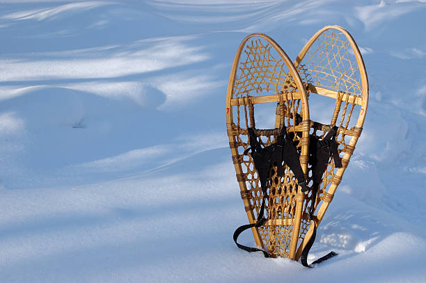 Snowshoes still-life (horizontal) stock photo