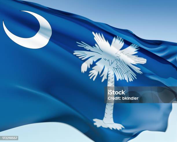 A Bandeira Da Carolina Do Sul - Fotografias de stock e mais imagens de Bandeira - Bandeira, Carolina do Sul, Azul
