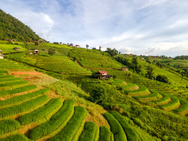 istock Beautiful Terraced Rice Field in Chiangmai, Thailand 1722105865