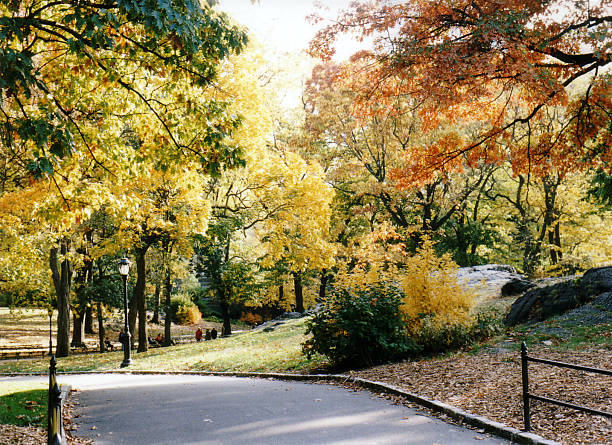 central park scenery NYC stock photo