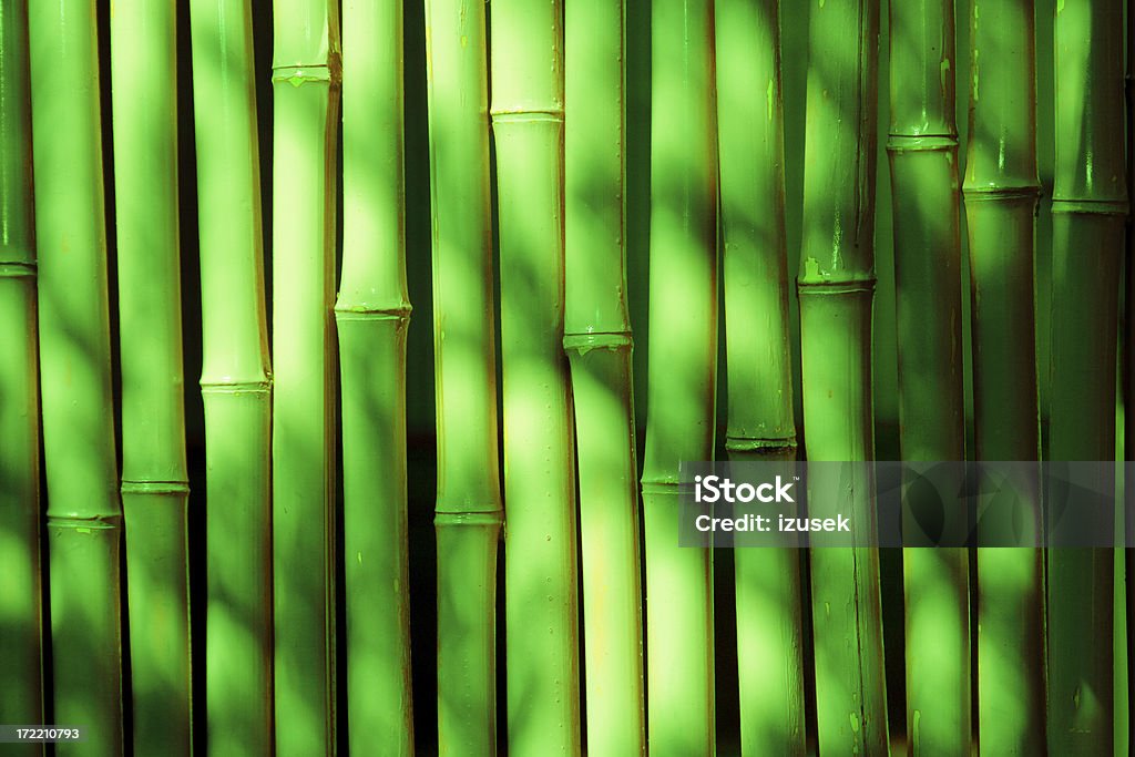 녹색 대나무 - 로열티 프리 대나무-벼과 스톡 사진