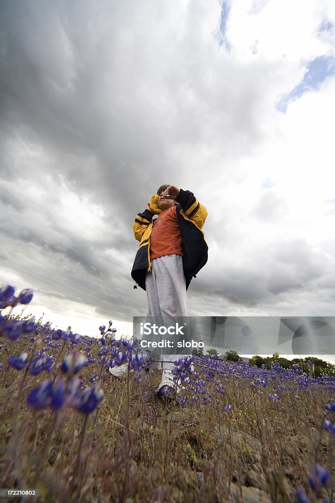 Garçon avec jouet debout dans un champ de fleurs sauvages sous les nuages. - Photo de Champ libre de droits